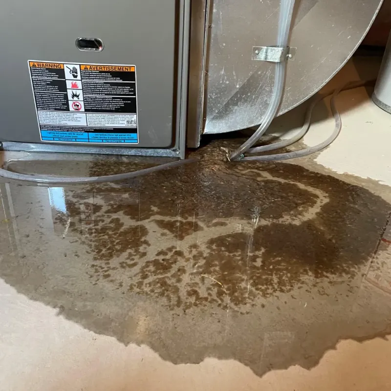 Appliance Leak Cleanup in Kualapuu, HI