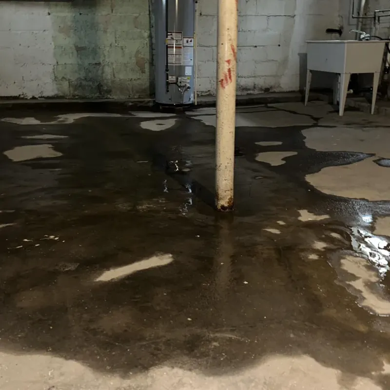Emergency Water Extraction And Removal in Kualapuu, HI